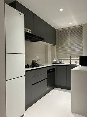 Modern Kitchen Cabinet with Marble Countertop for Apartments