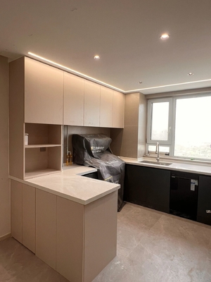 Modern Kitchen Cabinet with Marble Countertop for Apartments
