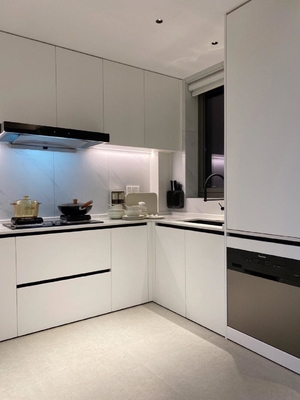 Modern Kitchen Cabinet with Plywood Doors for Residences