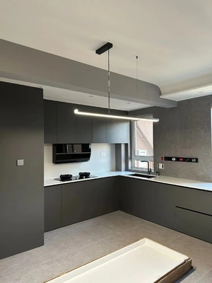 Modern Kitchen Cabinet with Plywood Doors for Residences