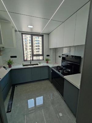 Modern Kitchen Cabinet with Plywood Doors for Residences