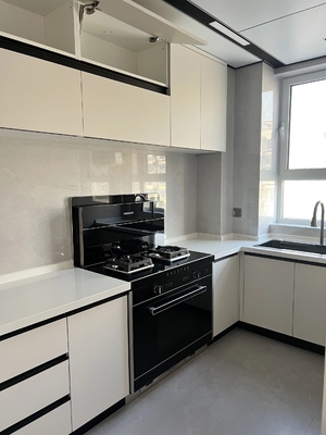 Modern Kitchen Cabinet with Plywood Doors for Residences