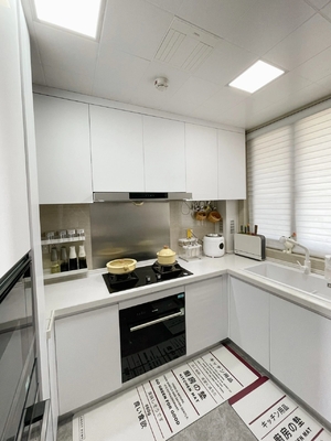 Modern Kitchen Cabinet with Heat-Resistant Finish for Villas