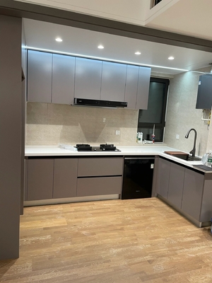 Custom Modern Kitchen Cabinet with Anti-Fingerprint Pet Film