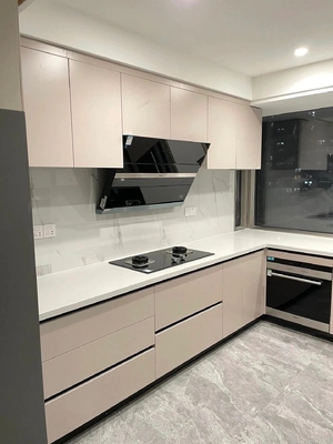 Custom Shaker Style Particle Board Kitchen Cabinets in Vibrant Colors