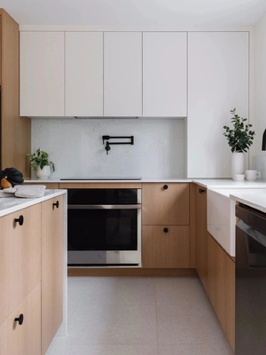 Custom Shaker Style Particle Board Kitchen Cabinets in Vibrant Colors