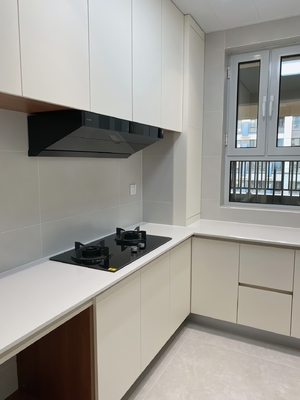 Custom Shaker Style Particle Board Kitchen Cabinets in Vibrant Colors