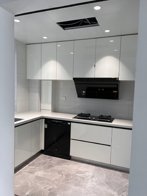 Modern Shaker Kitchen Cabinet Set with Soft Close Hinges