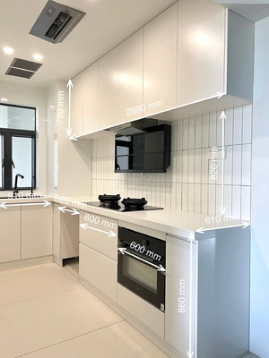 Modern Shaker Kitchen Cabinet Set with Soft Close Hinges