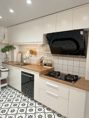 Painted Kitchen Cabinet Set For Effortless Maintenance for Apartment