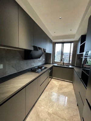 Modern Kitchen Cabinet with Premium Fittings and Custom Materials