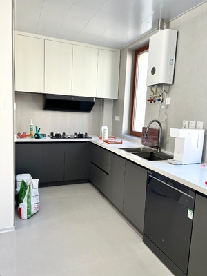 Modern Kitchen Cabinet with Melamine Door Panel Customizable