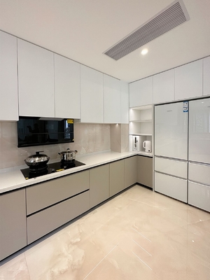 Modern Kitchen Cabinet with Melamine Door Panel Customizable