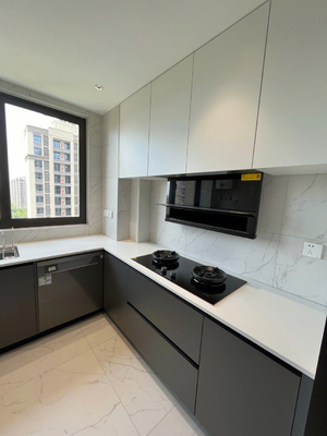 Modern Melamine Finish Kitchen Cabinet with Plywood Door