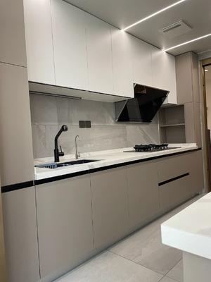 Modern Melamine Finish Kitchen Cabinet with Plywood Door