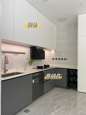 Modern Melamine Finish Kitchen Cabinet with Plywood Door