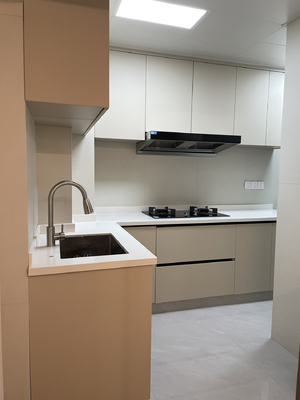 Modern Melamine Finish Kitchen Cabinet with Plywood Door
