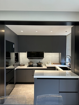 China Factory Kitchen Cabinets with Quartz Granite Countertops