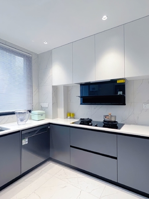 China Factory Kitchen Cabinets with Quartz Granite Countertops