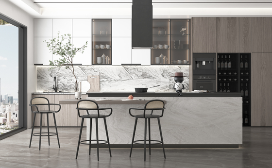 Modern Kitchen Cabinet with Anti-Scratch Textured Surface