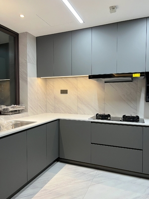 Custom Moisture Proof Kitchen Cabinets with Modular Design