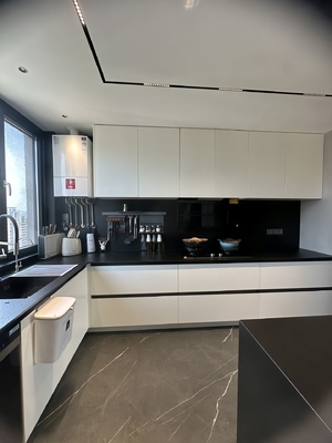 Custom Modern Kitchen Cabinet for Residence Apartment Hotel