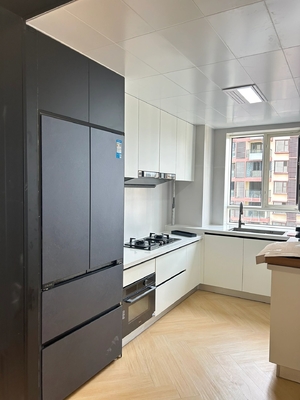 Custom Modern Kitchen Cabinet for Residence Apartment Hotel