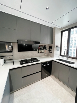 Custom Modern Kitchen Cabinet for Residence Apartment Hotel