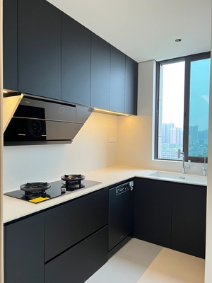 Modern Kitchen Cabinet with Customized Countertops and Cupboards