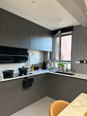 Modern Kitchen Cabinet with Customized Countertops and Cupboards