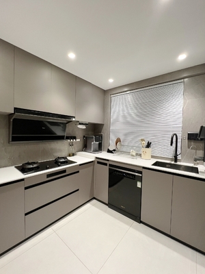 Modern Kitchen Cabinet with Customized Countertops and Cupboards