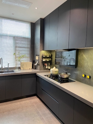 Modern Kitchen Cabinet with Customized Countertops and Cupboards