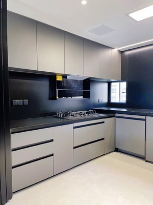 Modern Kitchen Cabinet with Quartz Countertop and Faucet