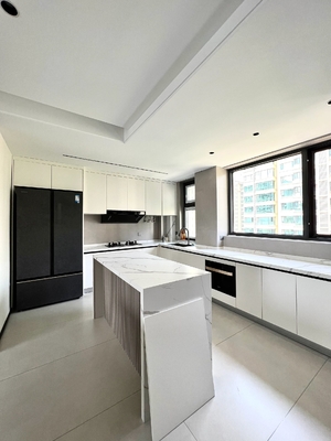 Modern Kitchen Cabinet with Quartz Countertop and Faucet