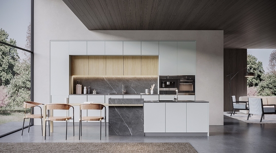 Custom Modern Kitchen Cabinet Modular Design for Residences