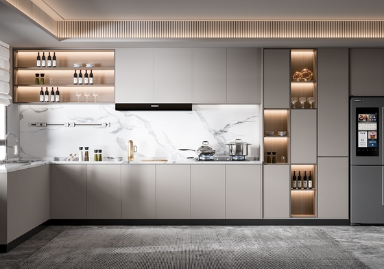 Custom Modern Kitchen Cabinet with Wardrobe and Faucet
