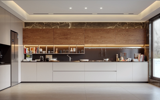 Modern Kitchen Cabinet with MDF Carcase and Blum Hardware