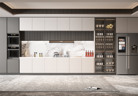 Modern Kitchen Cabinet with Granite Countertop Custom Design