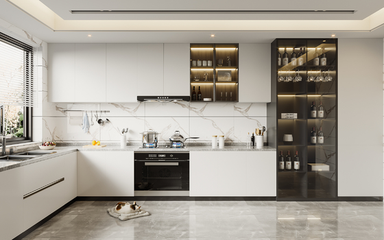 Modern Kitchen Cabinet with Granite Countertop Custom Design