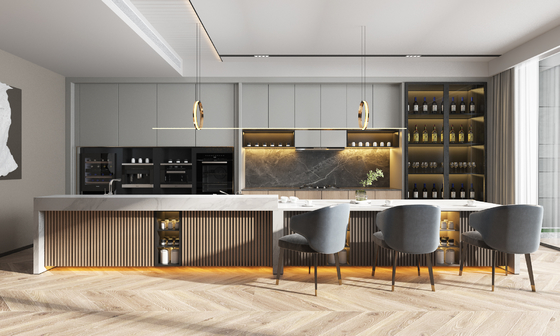 Modern Kitchen Cabinet with Granite Countertop Custom Design