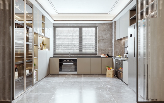 Modular Kitchen Cabinet with Contrast Color Design