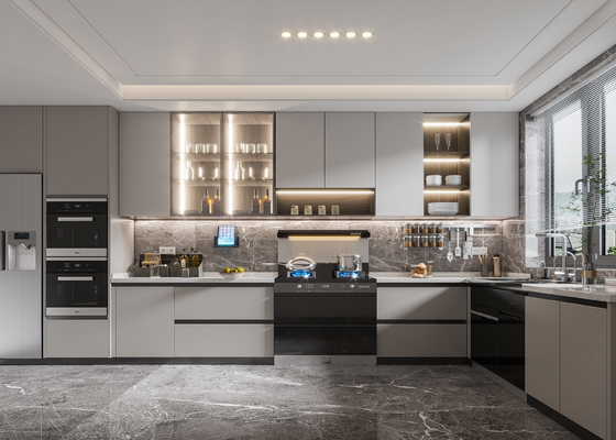 Modular Kitchen Cabinet Sets MDF Plywood for Apartments Hotels