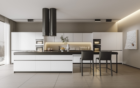 Modern Modular Kitchen Cabinet Southeast Asian Style Custom Design