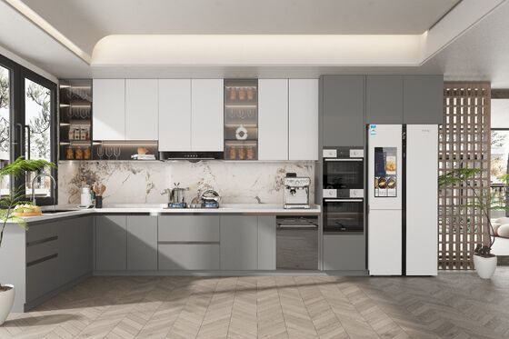 Set Indoor Kitchen Cabinets Gloss L Shaped Modern Modular Price Gray  Furniture