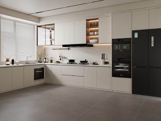 Hotel Modern Shaker Kitchen Cabinets Customizable Plywood Systems Eco-Friendly